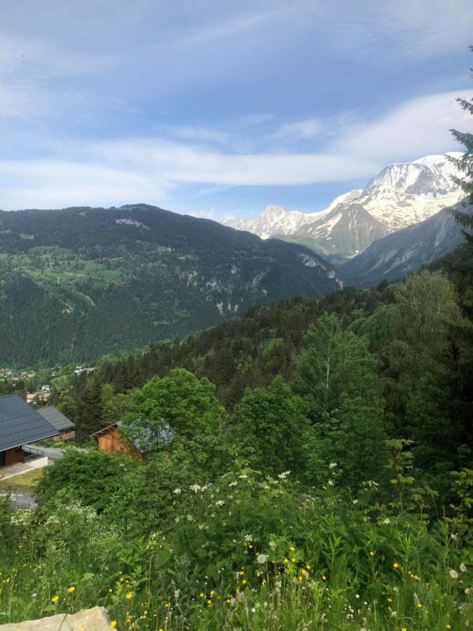 Studio Turquoise Quartier Grattague Vue Montblanc 圣热尔韦莱班 外观 照片